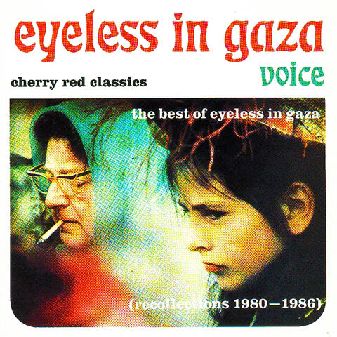 Voice: The Best Of Eyeless In Gaza