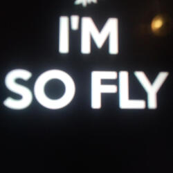 I'm so Fly