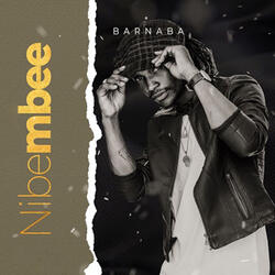 Nibembee