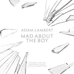 Mad About the Boy