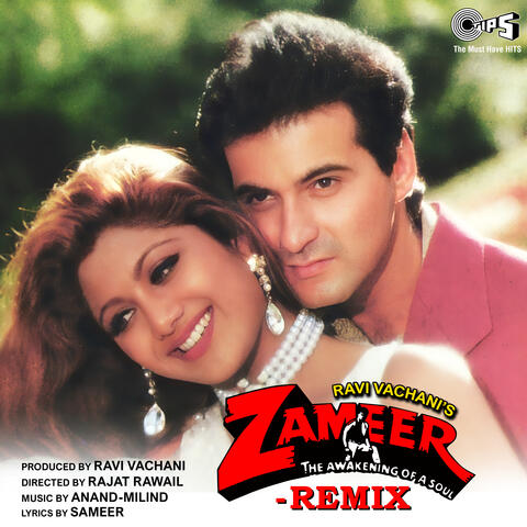 Zameer (Remix)