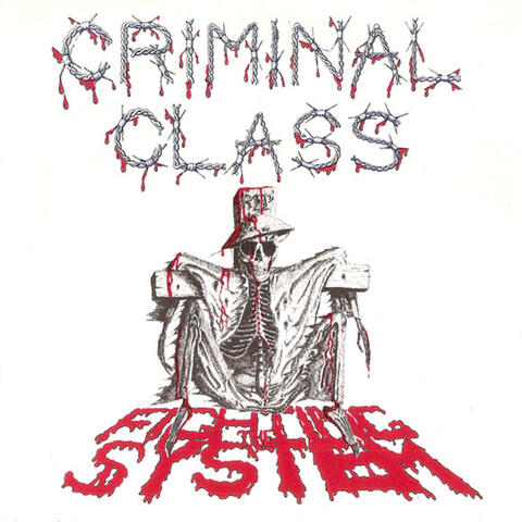 The Criminal Class