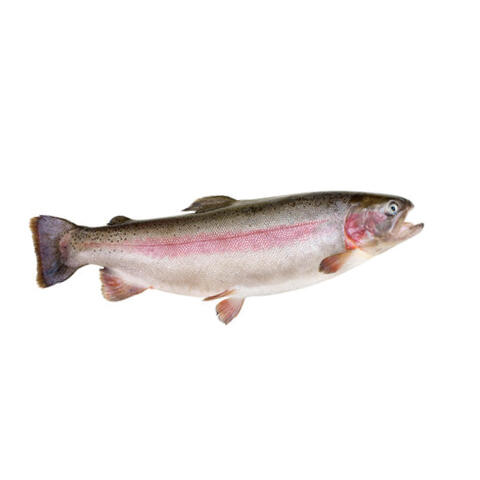 Munamotokara Nijimasu