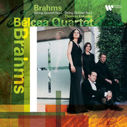 Brahms: String Quartet No. 1 in C Minor, Op. 51 No. 1: III. Allegretto molto moderato e comodo