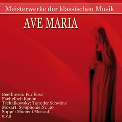 Orfeo ed Euridice, Wq. 30, Act II, Scene 2: Ballo. Andante (Dance of the Blessed Spirits)