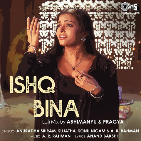 Ishq Bina (Lofi Mix)