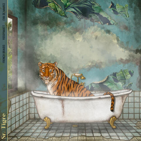 Sr. Tigre