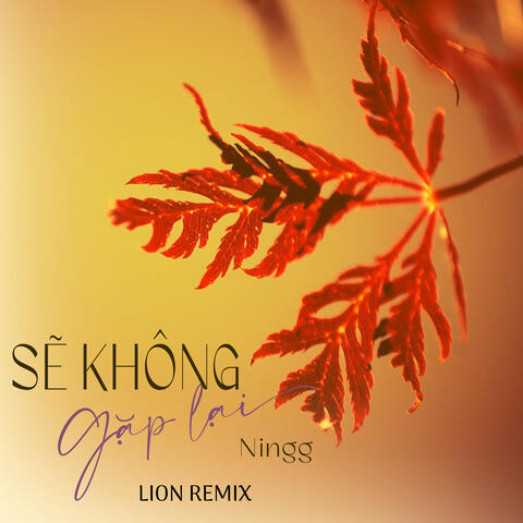 Sẽ Không Gặp Lại