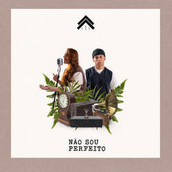 Não Sou Perfeito