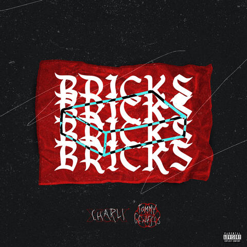 Bricks