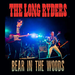 Bear In The Woods