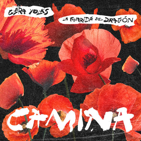 Camina (feat. La Guarida del Dragón)