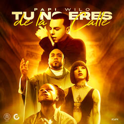 Tu No Eres De La Calle
