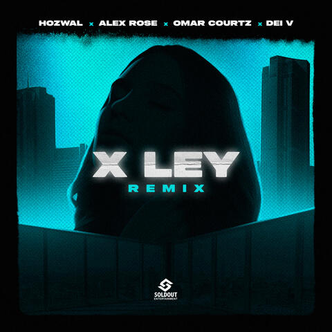 X Ley (feat. Dei V)