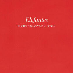 Luciérnagas y mariposas