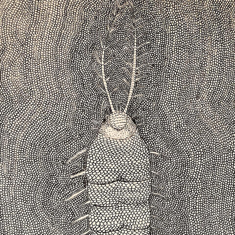 Qualia / Micrografía