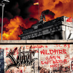 Wildfire