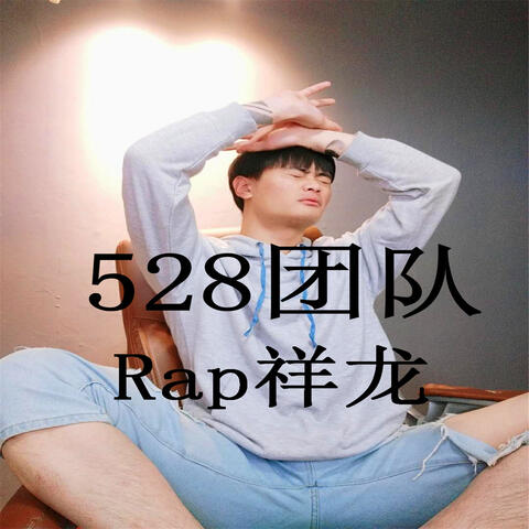 528團隊