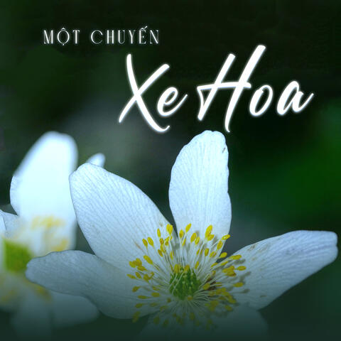 Một Chuyến Xe Hoa