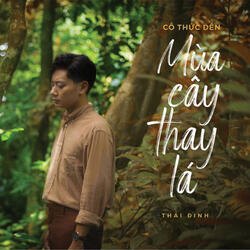 Cố Thức Đến Mùa Cây Thay Lá