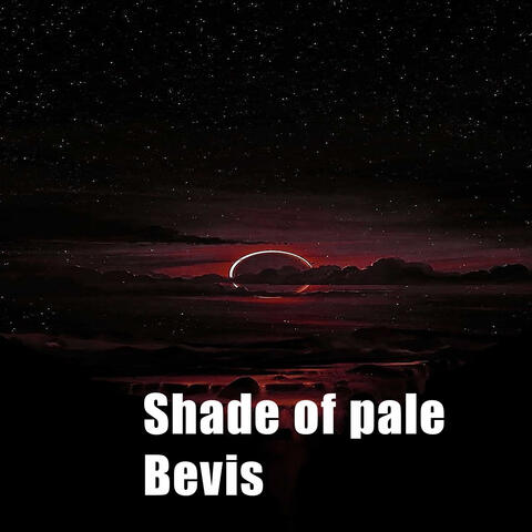Bevis