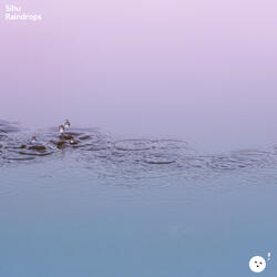 Raindrops