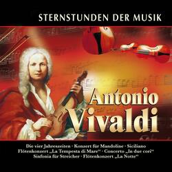 Sinfonia for Strings in E Major, RV 132: II. Andante