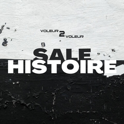 Sale histoire
