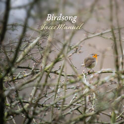 Birdsong