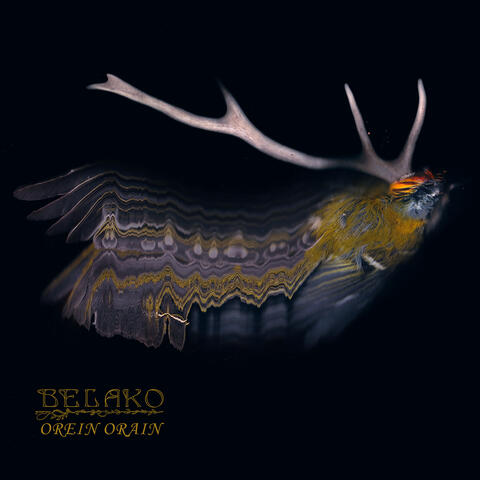 Orein Orain