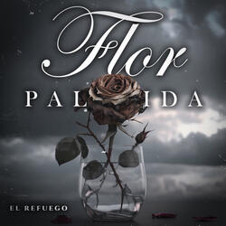 Flor Pálida