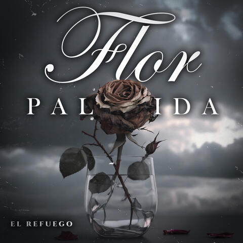 Flor Pálida