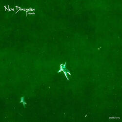 New Dimension