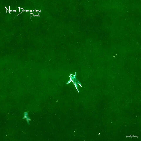 New Dimension