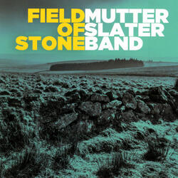 Field Of Stone