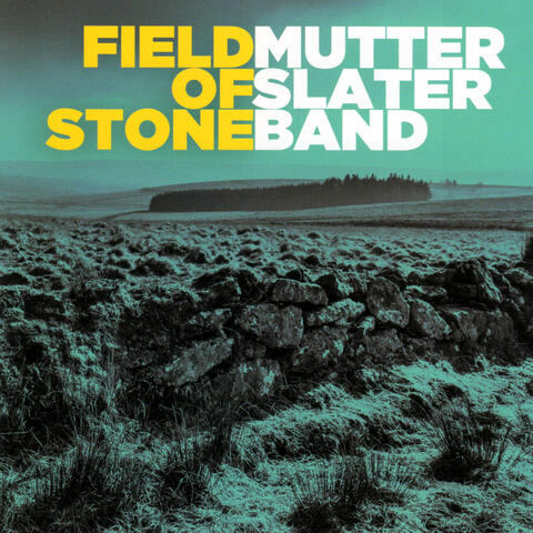 Field Of Stone