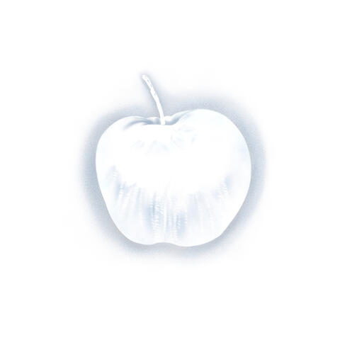 White Teeth