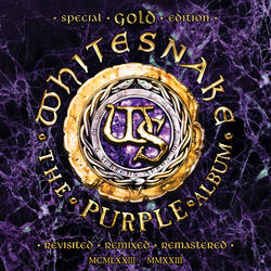 Soldier of Fortune (feat. Joel Hoekstra & The Hook City Strings)