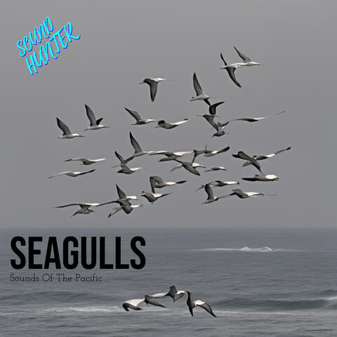 Seagulls (Sounds Of The Pacific)
