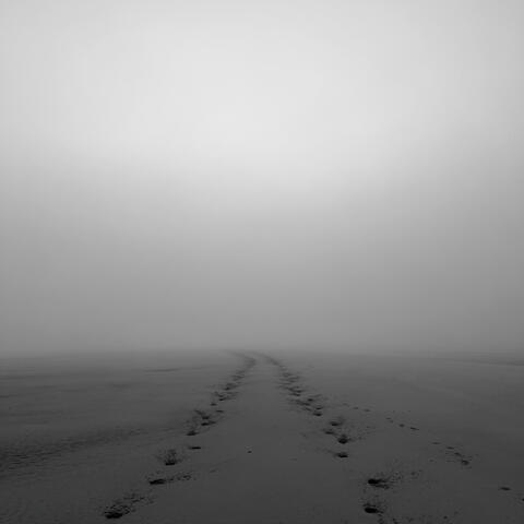 Aaron Hibell