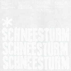 schneesturm