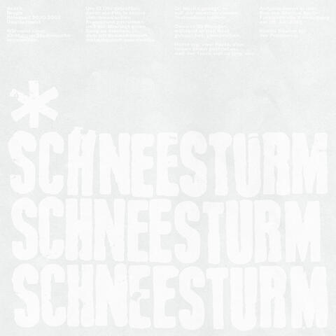 schneesturm