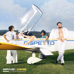 Dispetto (feat. Tatum Rush)