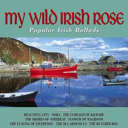 Flower of Macroom