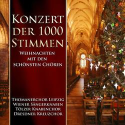 Kirchenmusik, Op. 23: II. Ave Maria