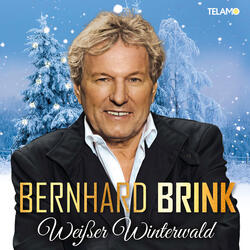 Weißer Winterwald (Winterwonderland)