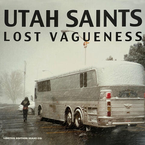 Lost Vagueness