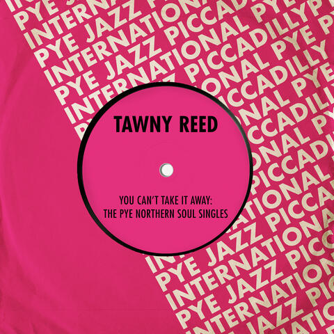 You Can't Take It Away: The Pye Northern Soul Singles