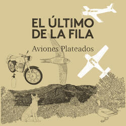 Aviones plateados