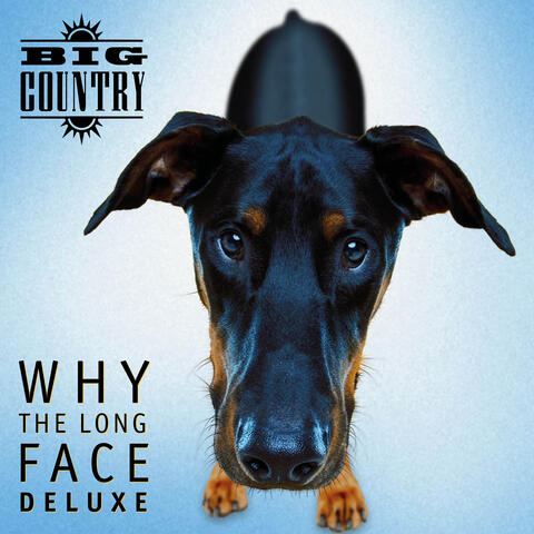 Why the Long Face